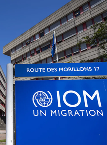 MOTTO Eğitim Bilişim, IOM’nin Çok Dilli E-Öğrenme Projesini Hayata Geçiriyor!