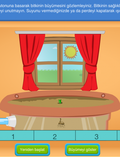 İlkokul, Ortaokul ve Lise Eğitimleri