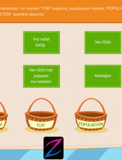 İlkokul, Ortaokul ve Lise Eğitimleri