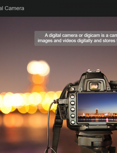 Üniversite Eğitimi