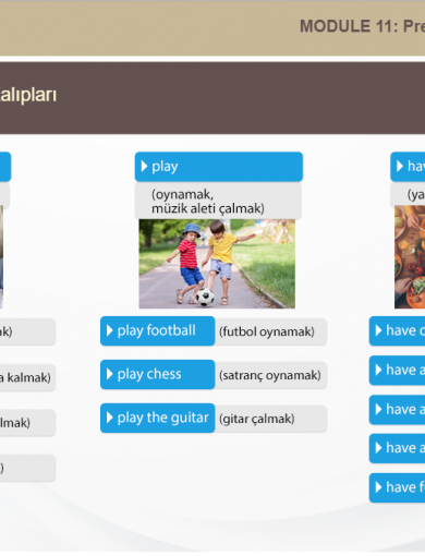 Üniversite Eğitimi