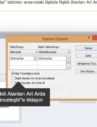 Üniversite Eğitimi